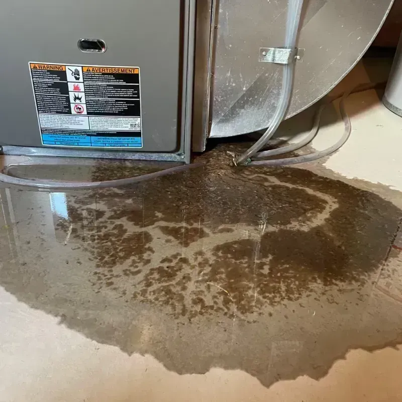 Appliance Leak Cleanup in Holly Springs, MS